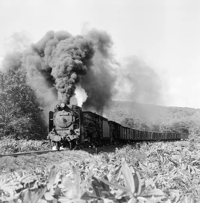 函館本線山線のD51365