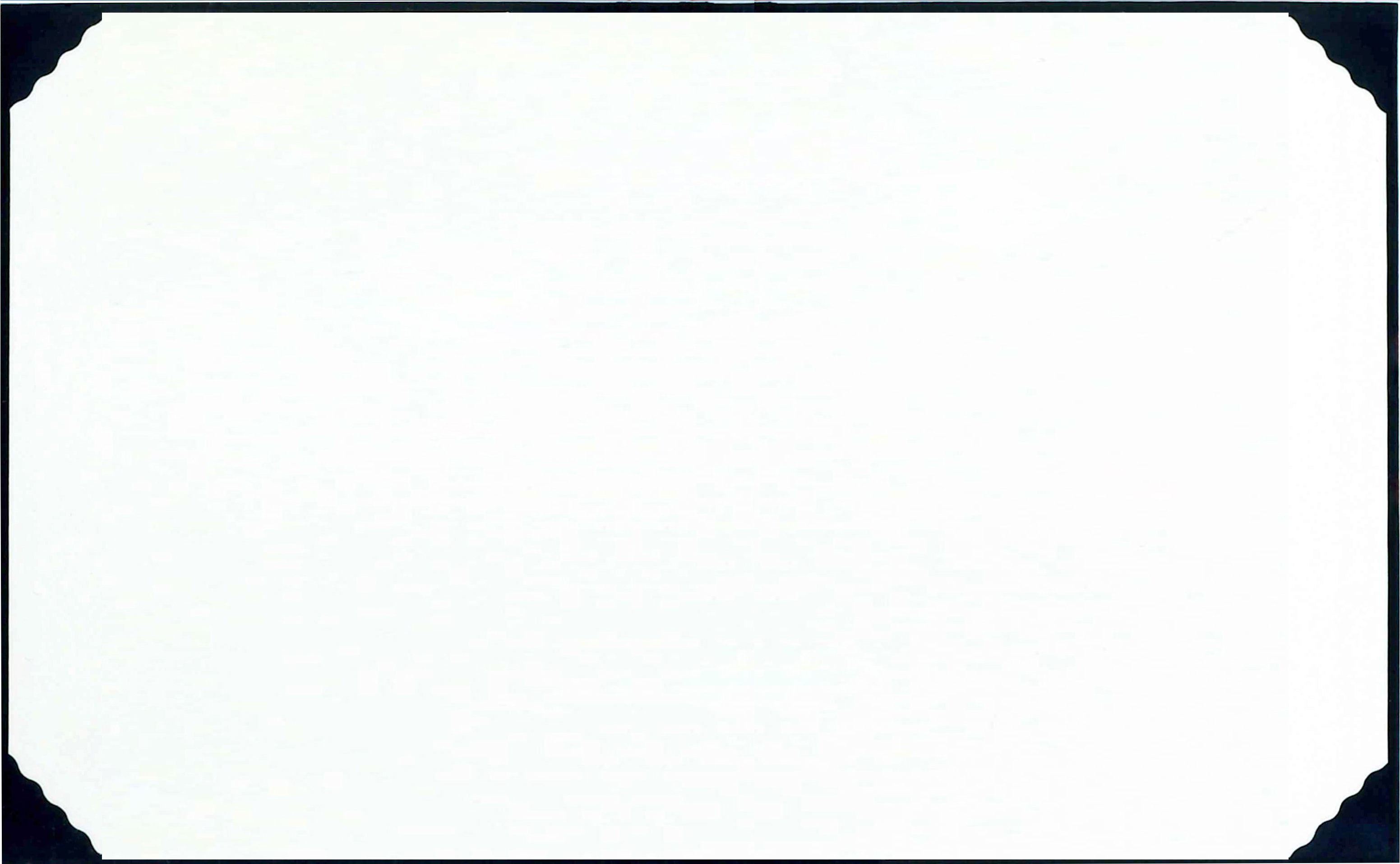 背幅が広いタイプ