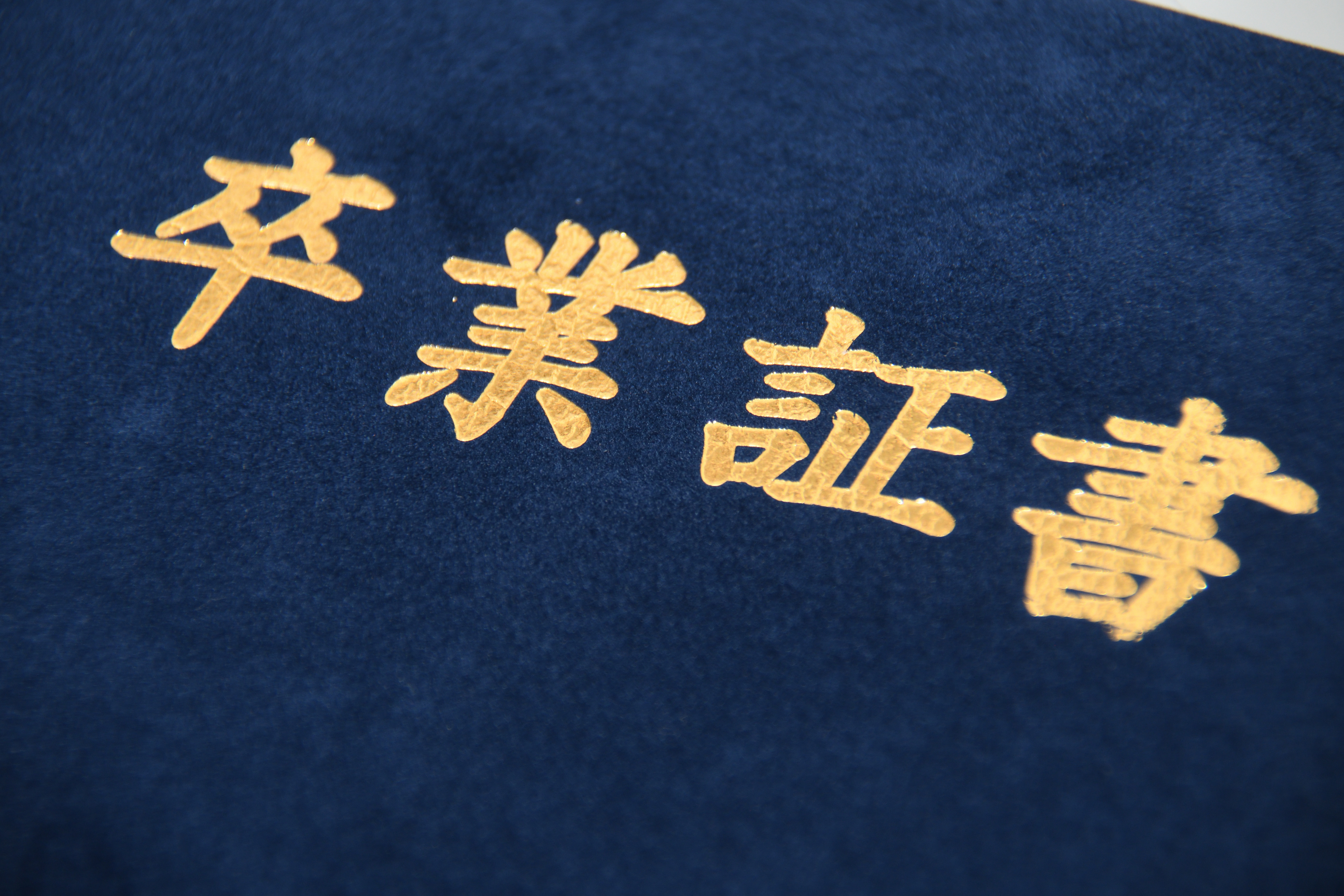 高級感のある特殊な生地もご用意